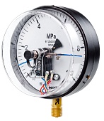 Вакуумметры, мановакуумметры, манометры электроконтактные пылевлагозащищенные ДВ2005ф, ДА2005ф, ДМ2005ф IP53